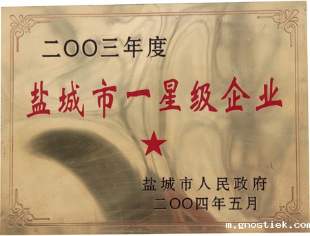 盐城市一星级企业