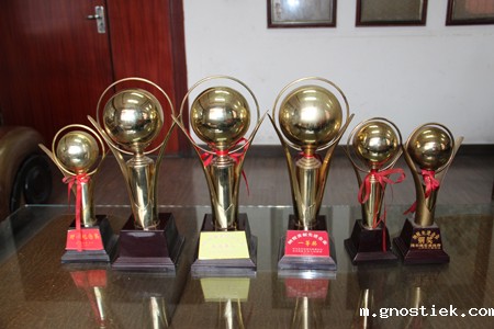 纳税贡献先进企业一等奖